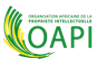 oapi logo